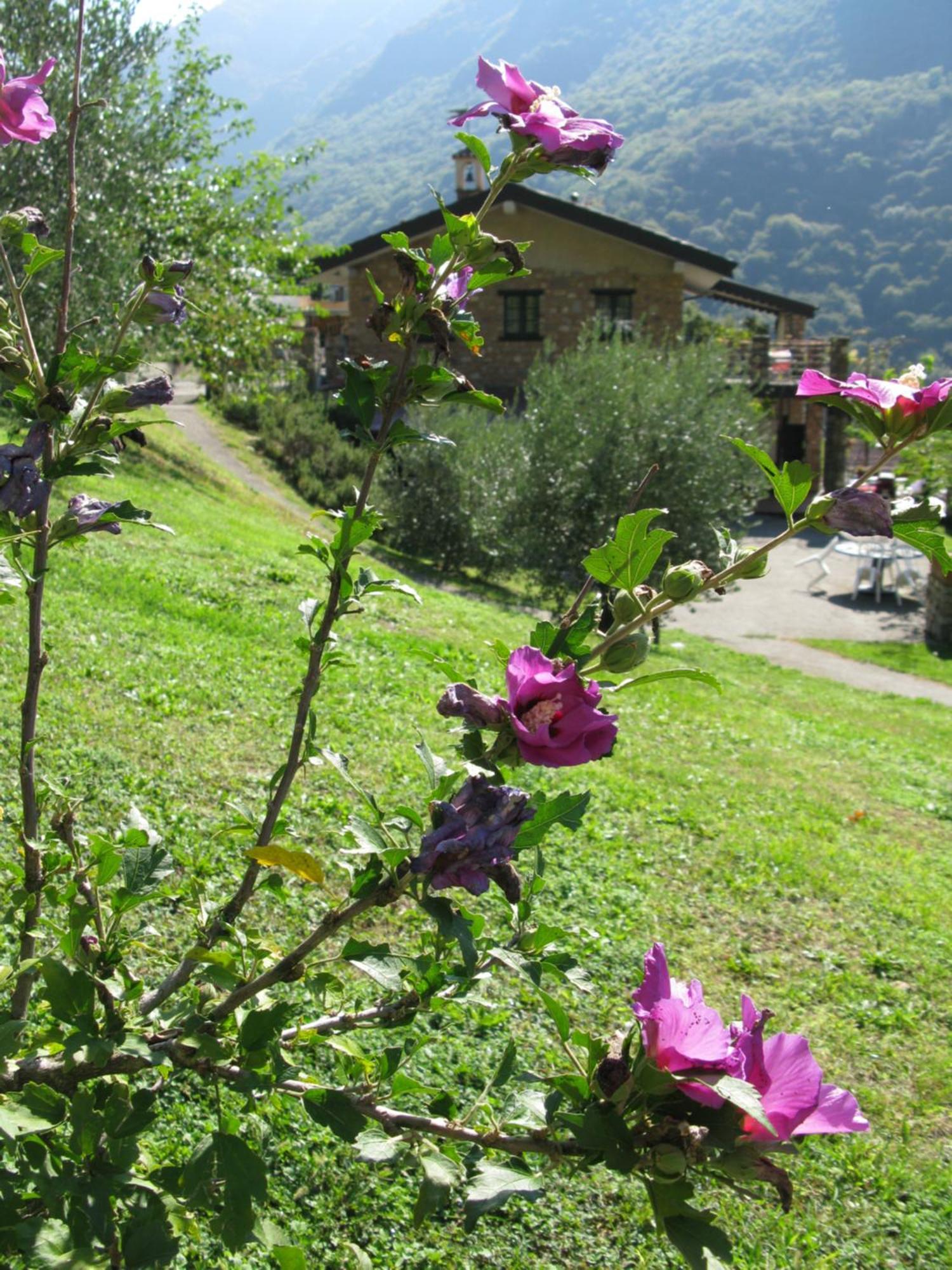 Chalet Della Rota Мароне Экстерьер фото